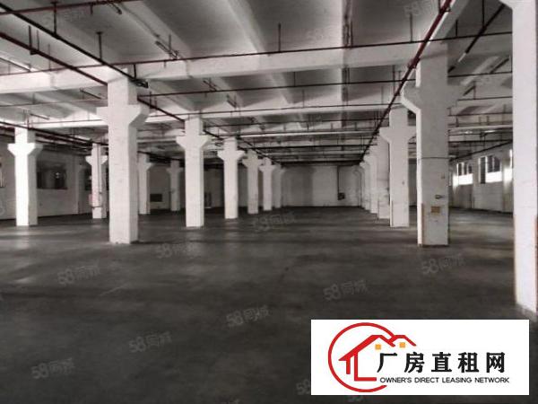  龙岗宝龙原房东标准6米高一楼厂房3500平带红本带
