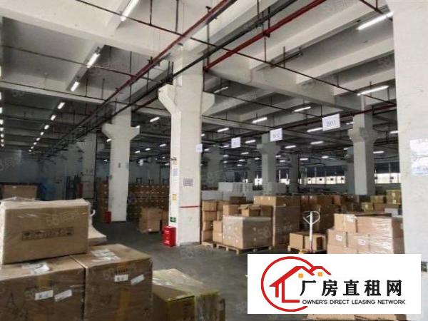  龙岗宝龙原房东标准6米高一楼厂房3500平带红本带