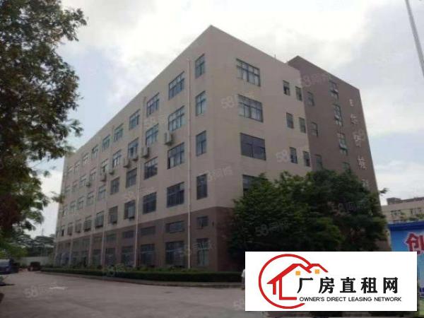  龙岗宝龙工业区新出原房东独栋5层12500平厂房出租实际面积