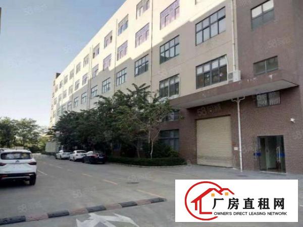  龙岗宝龙工业区新出原房东独栋5层12500平厂房出租实际面积
