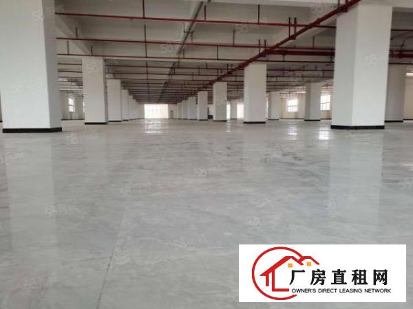  龙岗宝龙工业区新出原房东独栋5层12500平厂房出租实际面积