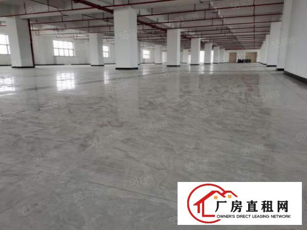  龙岗宝龙工业区新出原房东独栋5层12500平厂房出租实际面积