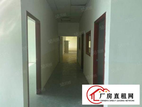  龙岗爱南路工业园600房东直租免佣，急租！手慢无！