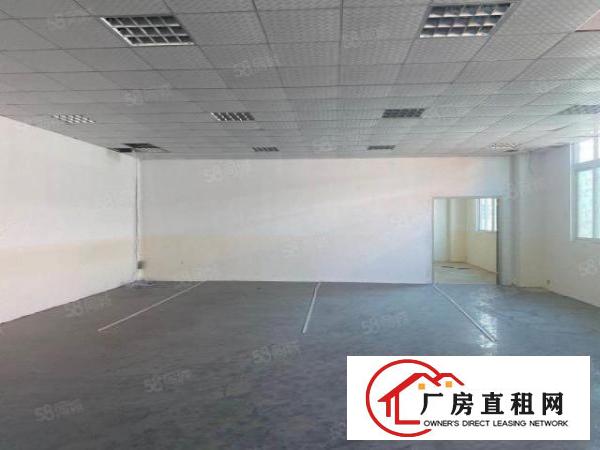  龙岗爱南路工业园600房东直租免佣，急租！手慢无！