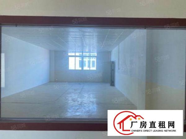  龙岗爱南路工业园600房东直租免佣，急租！手慢无！