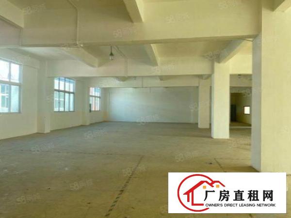  龙岗爱南路工业园600房东直租免佣，急租！手慢无！