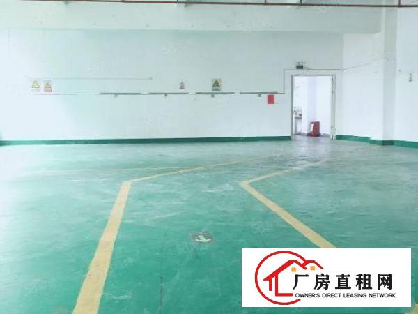  房东厂房出租580平简单装修有电梯无中介
