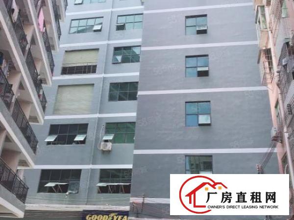  房东厂房出租580平简单装修有电梯无中介