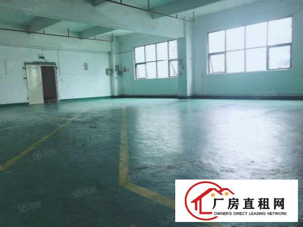  房东厂房出租580平简单装修有电梯无中介