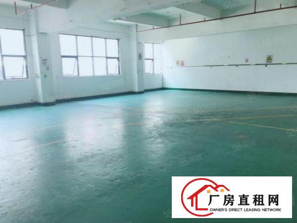  房东厂房出租580平简单装修有电梯无中介