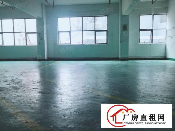  房东厂房出租580平简单装修有电梯无中介