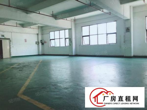  房东厂房出租580平简单装修有电梯无中介
