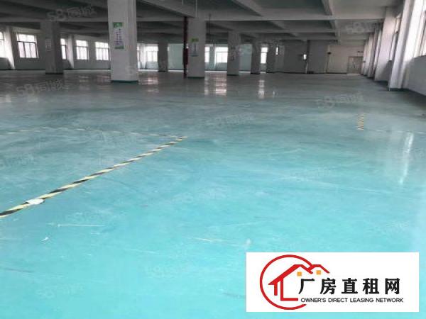  龙岗龙西，原房东楼上1200平精装修厂房出租