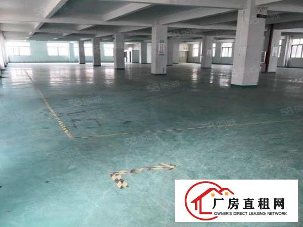  龙岗龙西，原房东楼上1200平精装修厂房出租