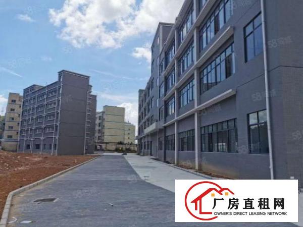  龙岗嶂背原房东独门独院厂房出租.带精装修.1300平无公摊