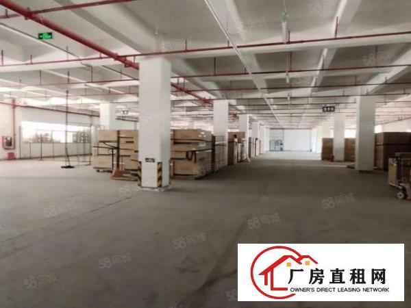  龙岗宝龙高新区8000平厂房出租.300平起分，带红本，可分