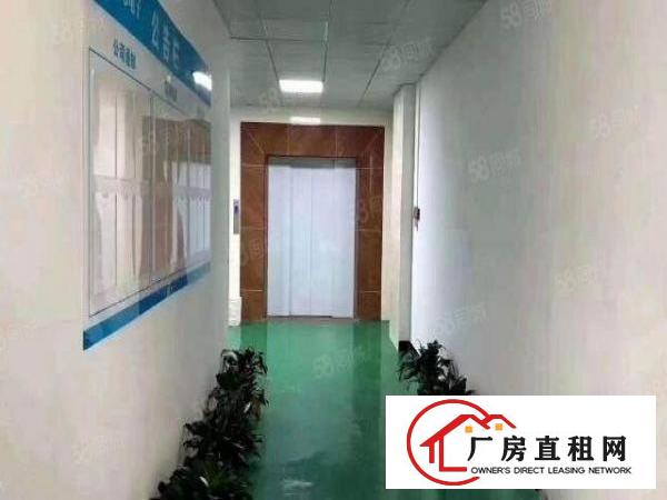  龙岗龙东沙背坜盈科利工业园附近三楼530平米现成装修原房东