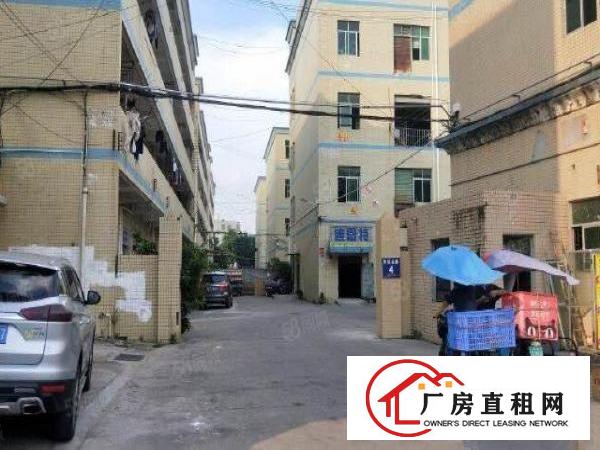  龙岗龙东沙背坜盈科利工业园附近三楼530平米现成装修原房东