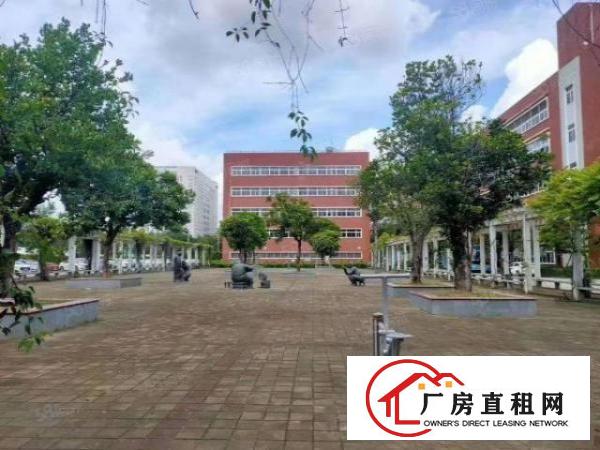  横岗中心城18000平方厂房出租
