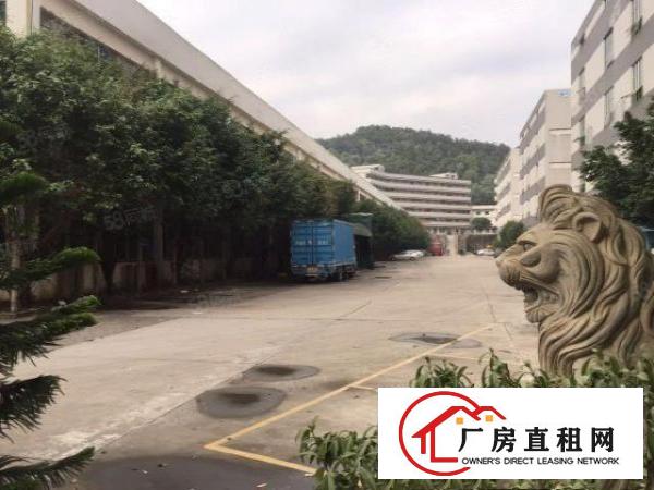  深圳龙岗中心城龙岗大道边上12000平方高度12米合同10年