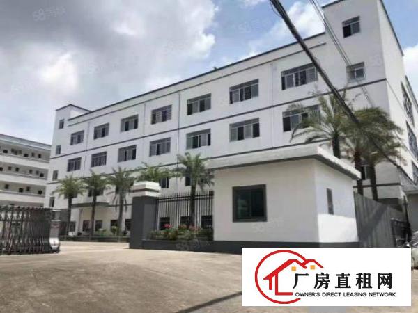  龙岗中心城华夏动漫产业园独院厂房5000平米出租可分租