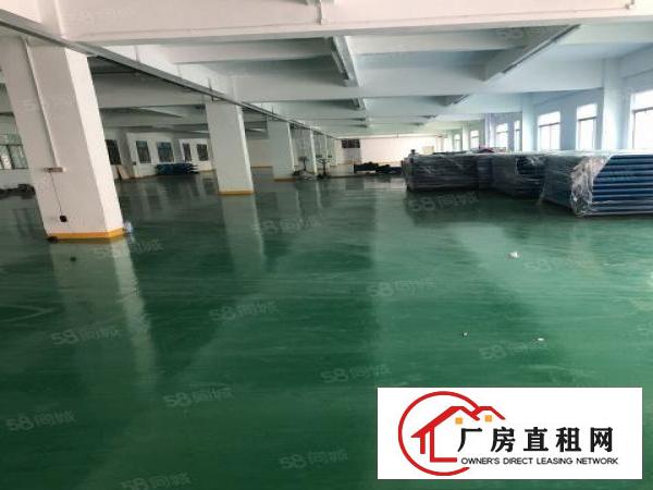  龙岗中心城华夏动漫产业园独院厂房5000平米出租可分租