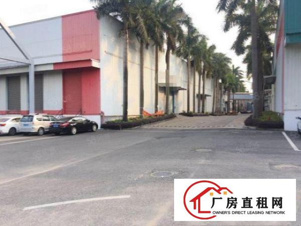  龙岗高速口12米钢结构新出2.5万平方米厂房出租可整租可分租