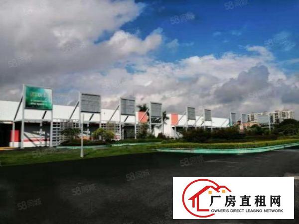  龙岗高速口12米钢结构新出2.5万平方米厂房出租可整租可分租