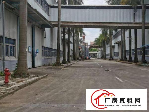  龙岗高速口12米钢结构新出2.5万平方米厂房出租可整租可分租