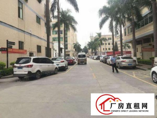 龙岗南联爱南路边1500平现成装修厂房出租转租可分租无转让费