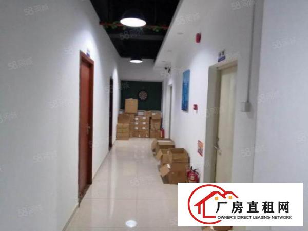  龙岗宝龙厂房出租3000平方厂房招租工业园红本精装修厂房分租