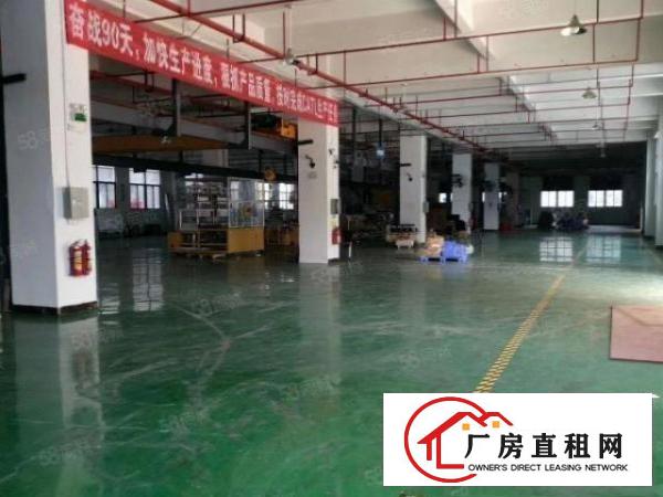  龙岗宝龙厂房出租3000平方厂房招租工业园红本精装修厂房分租
