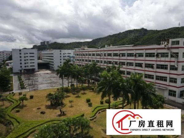  龙岗区40万平超大型工业区厂房出租，300平起分，园区空地大