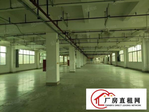  龙岗区40万平超大型工业区厂房出租，300平起分，园区空地大