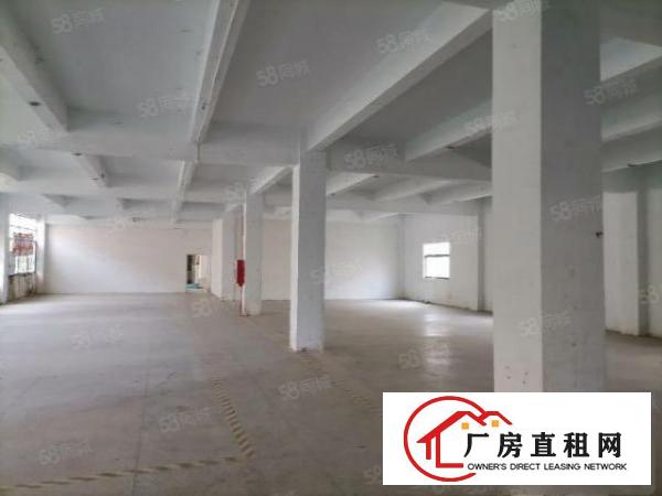  厂房出租龙岗南联中心城1650平可办环评原房东带红本