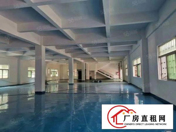 厂房出租龙岗南联中心城1650平可办环评原房东带红本