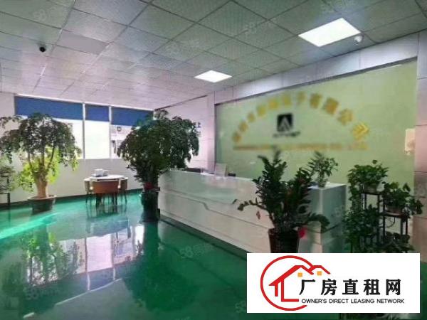  龙岗同乐原房东带装修厂房1600平出租，没有转让费可以分租