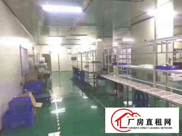  龙岗同乐原房东带装修厂房1600平出租，没有转让费可以分租