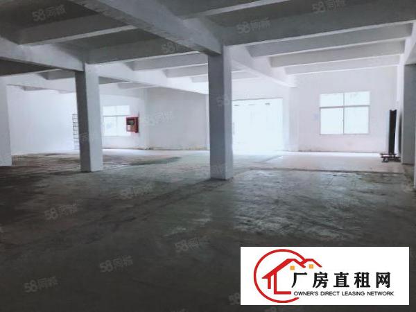  房东新出一楼厂房出租办公仓库无行业限制可分租