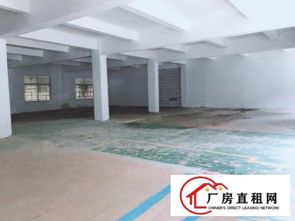  房东新出一楼厂房出租办公仓库无行业限制可分租