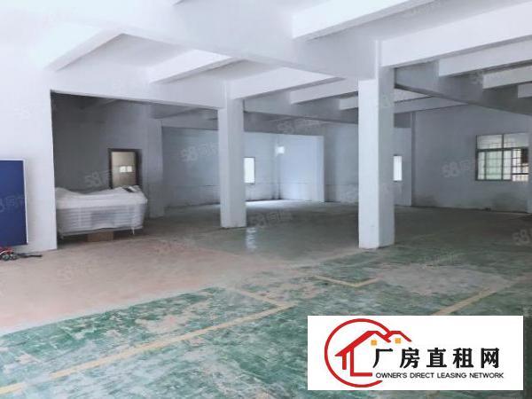  房东新出一楼厂房出租办公仓库无行业限制可分租