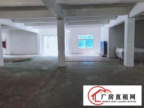  房东新出一楼厂房出租办公仓库无行业限制可分租