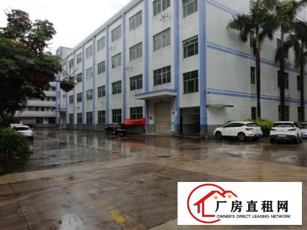  龙岗中心城龙东新出2楼1200平米带装修办公室可以分租空地大