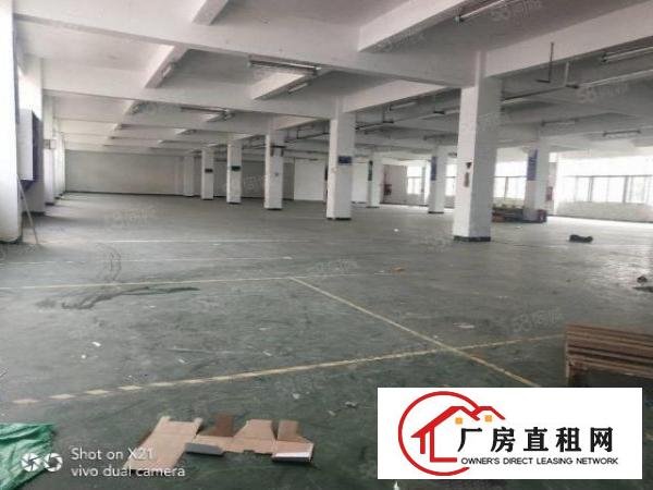  龙岗中心城独院厂房4800平米一楼1200平米500平米起租