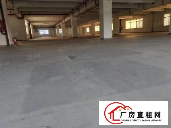  厂房出租可分割带红本业主直租免租3个月起