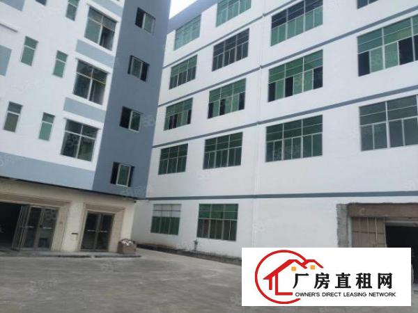  龙岗区同乐带红本厂房出租，300平起分也可整层出租，公摊小