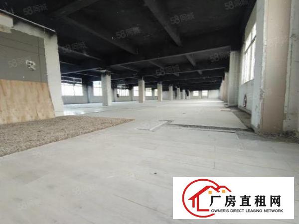  龙岗区同乐带红本厂房出租，300平起分也可整层出租，公摊小
