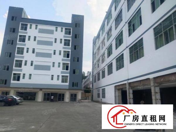  龙岗区同乐带红本厂房出租，300平起分也可整层出租，公摊小