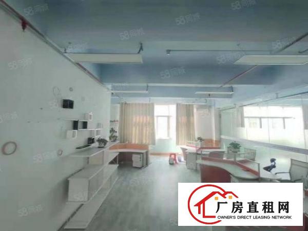  龙岗中心城300平起分租带豪华装修电商贸易产业孵化基地无转让