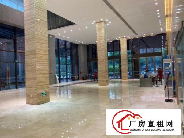 龙岗中心城300平起分租带豪华装修电商贸易产业孵化基地无转让